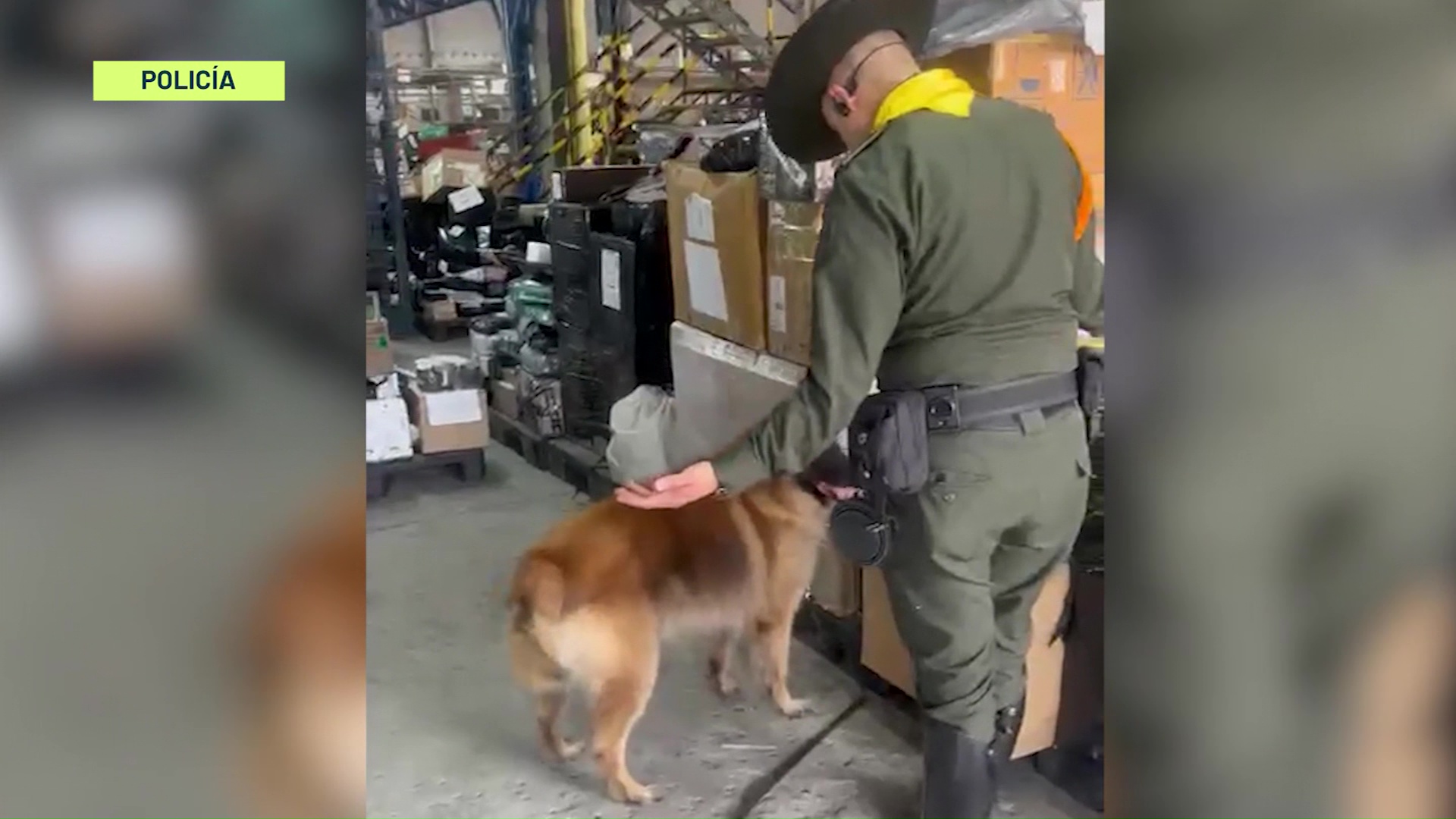 Incautan 42 mil gramos de marihuana y gomitas