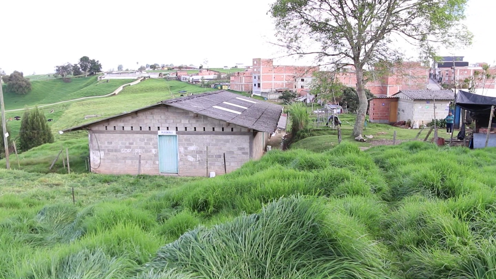Granja agrícola en proyecto de vivienda