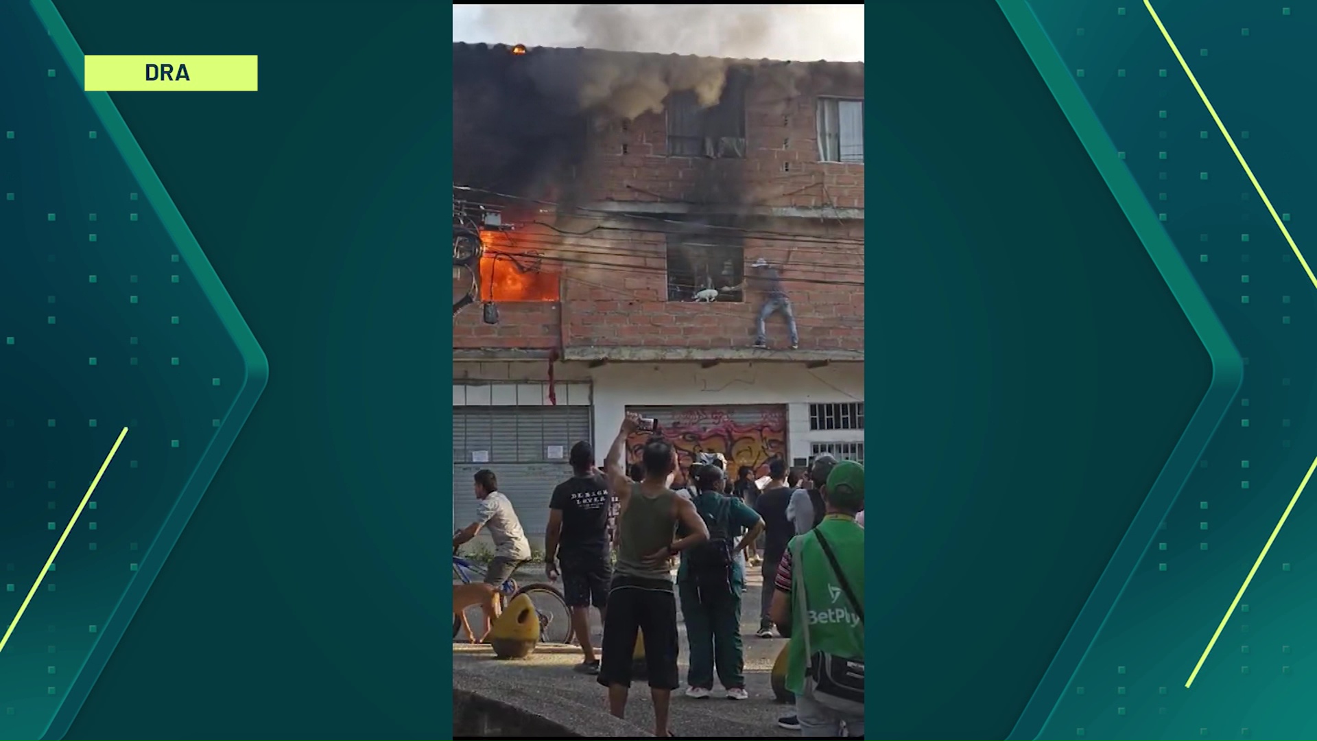 Rescatan 5 gatos en incendio de una vivienda