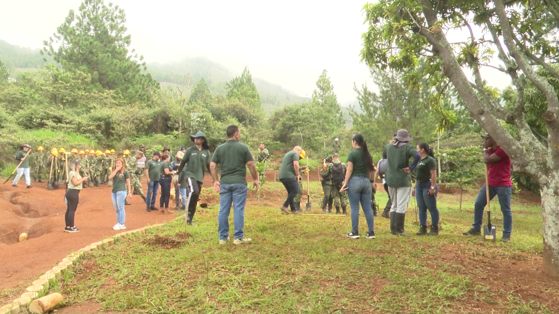 Buscan contrarrestar loteo ilegal en Bello