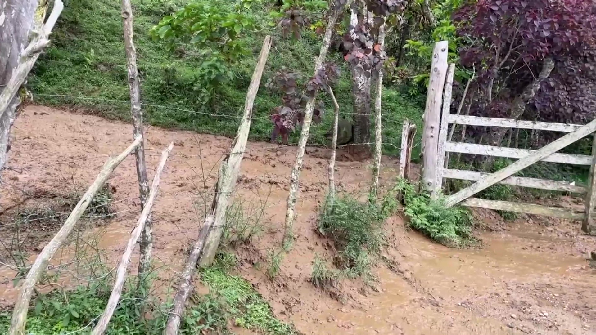 7 mil campesinos afectados por las lluvias