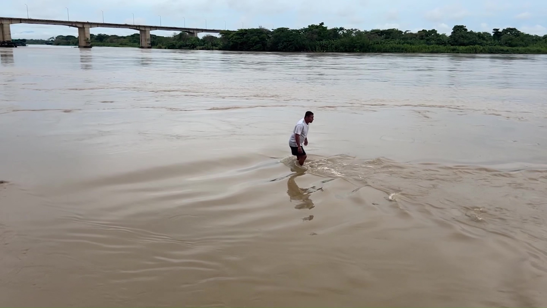 Implantarán chips a 6 mil peces del Río Cauca