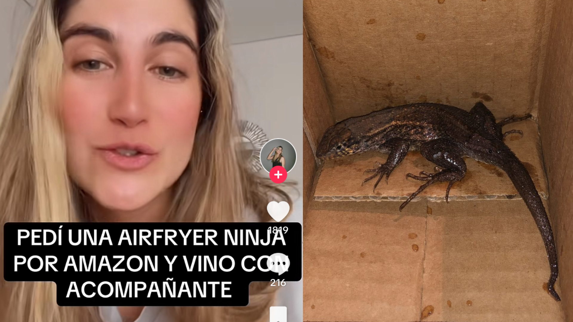 Pidió una airfryer por internet y le llegó acompañada de un animal