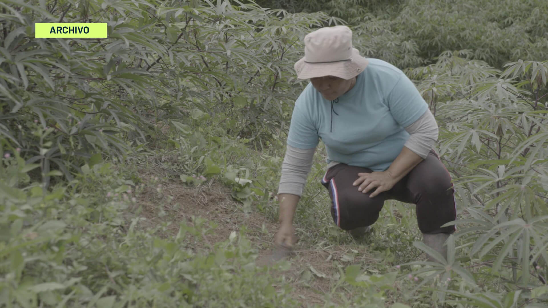 La mujer, centro de reformas en Gobernación