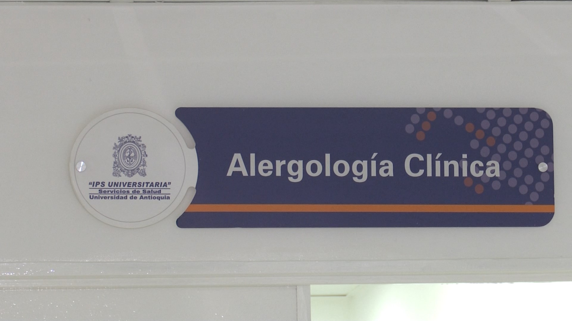 Alergias afectan a un 33 % de la población