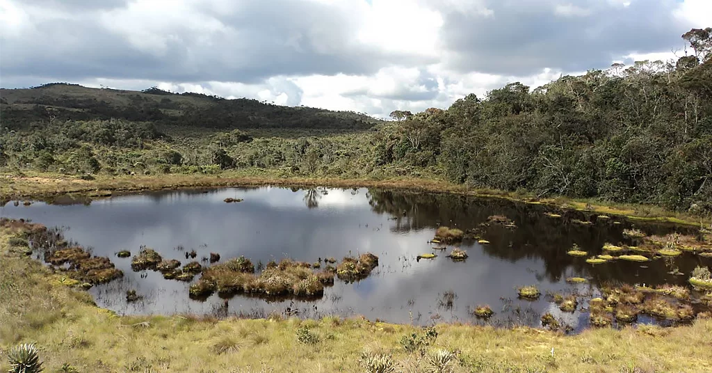 El Páramo de Belmira: Un encanto natural en Antioquia