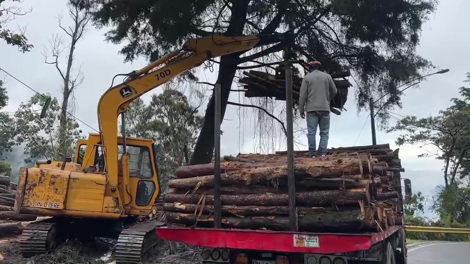 Decomisados mil metros cúbicos de madera