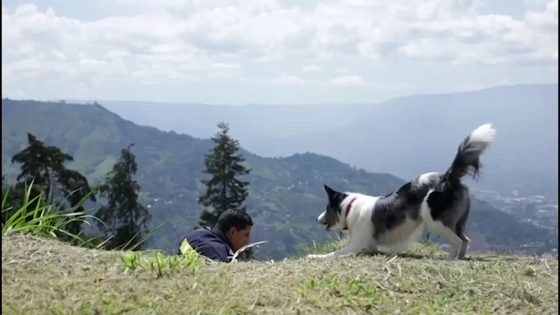 Día mundial del perro