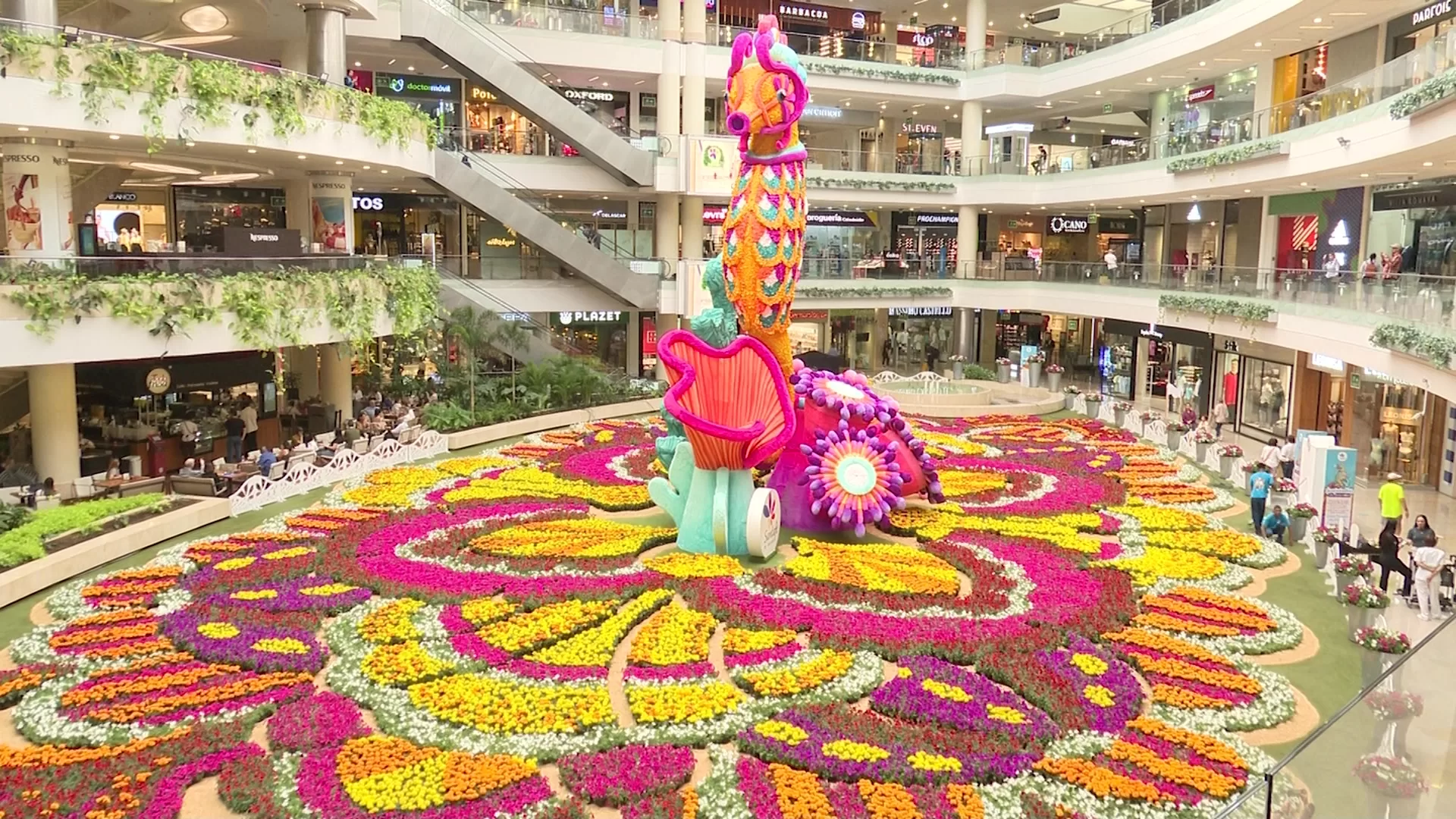 180 mil flores en el tapete de la Feria
