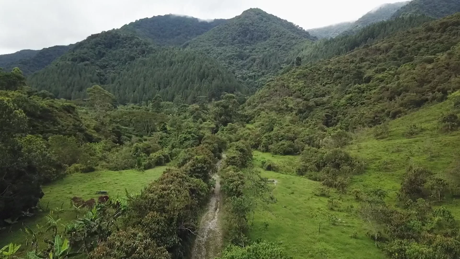Nueve redes territoriales nuevas en Antioquia
