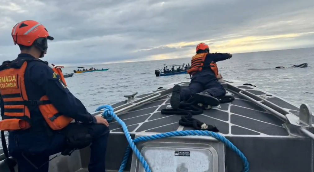 Video: Así fue el rescate de ballena jorobada atrapada en red de pesca
