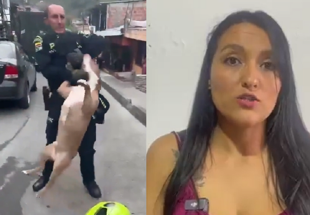 Habla dueña del pitbull al que mató la policía en procedimiento, ¿qué dijo?