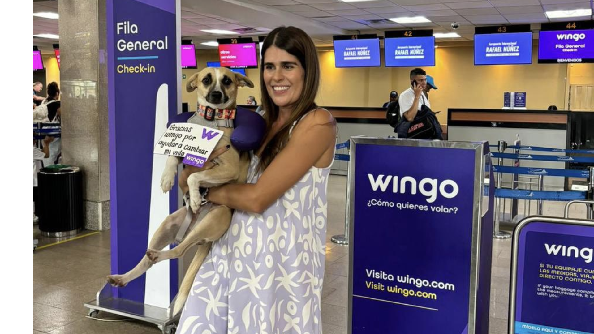 Aurora, la perrita rescatada en Cartagena pudo llegar por fin a Medellín