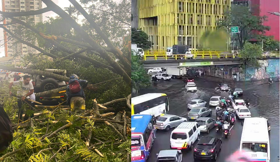 Video: Caída de árboles y problemas en movilidad dejan las fuertes lluvias de este jueves en Medellín