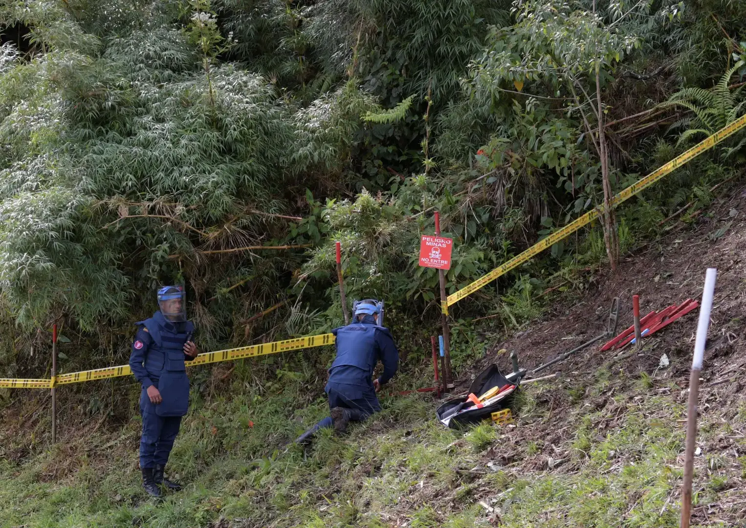 Civil murió cuando lo obligaron a recoger cadáveres en campo minado en Valdivia