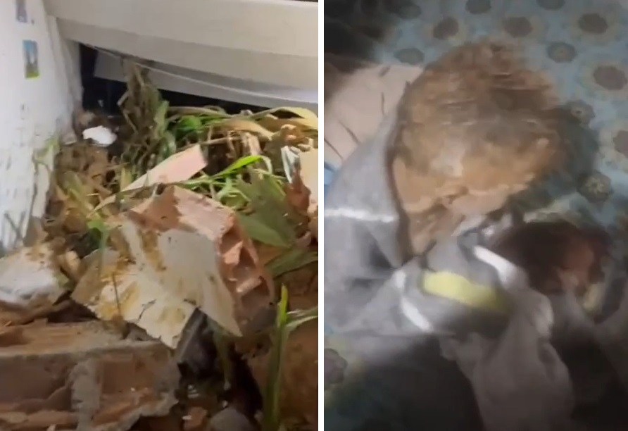 En video: un niño fue rescatado del lodo en inundaciones en San Rafael