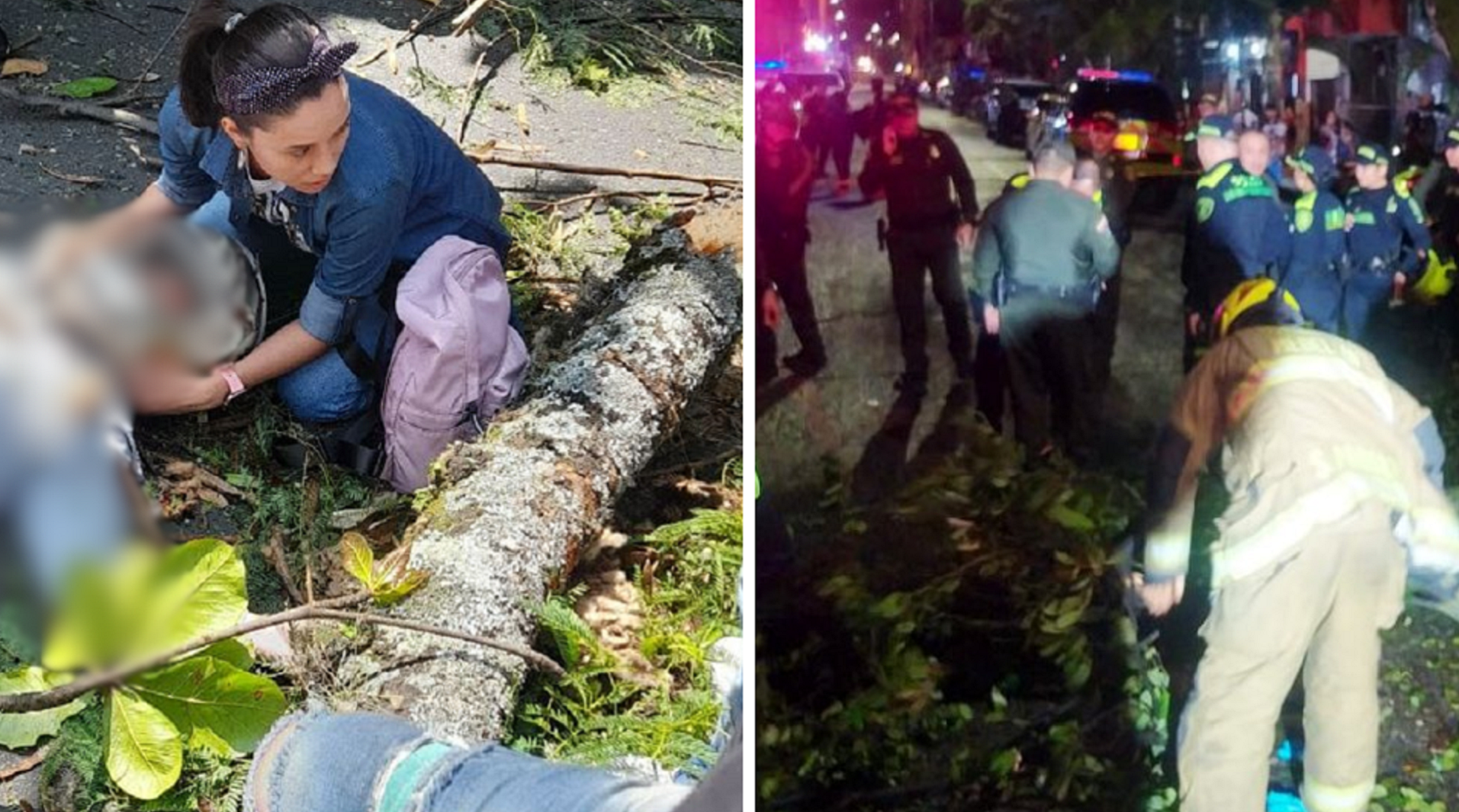 Patrullero de Policía al que le cayó un árbol en el centro Medellín está en cuidados intensivos