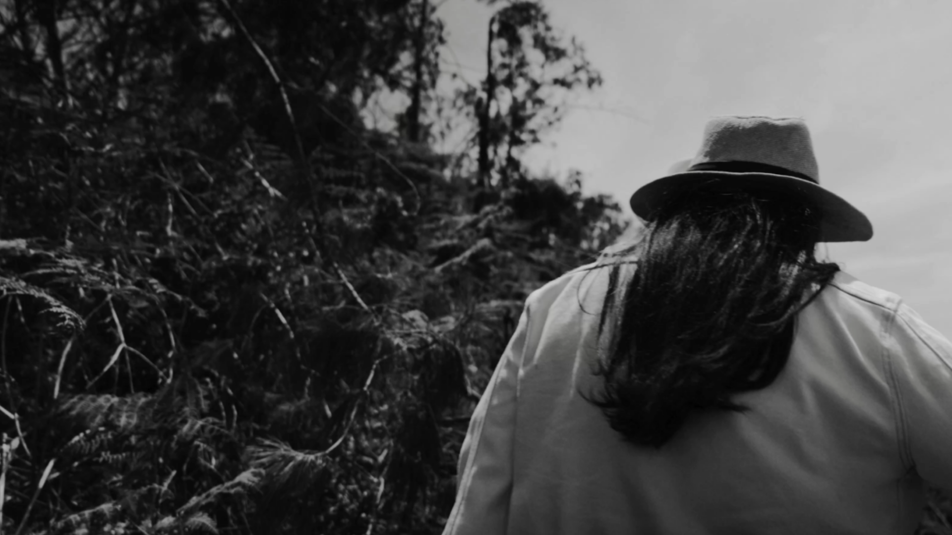 Habitantes de Guarne aseguran que en Semana Santa la montaña revela sus guacas, pero solo quienes tienen un alma pura pueden encontrarlas.