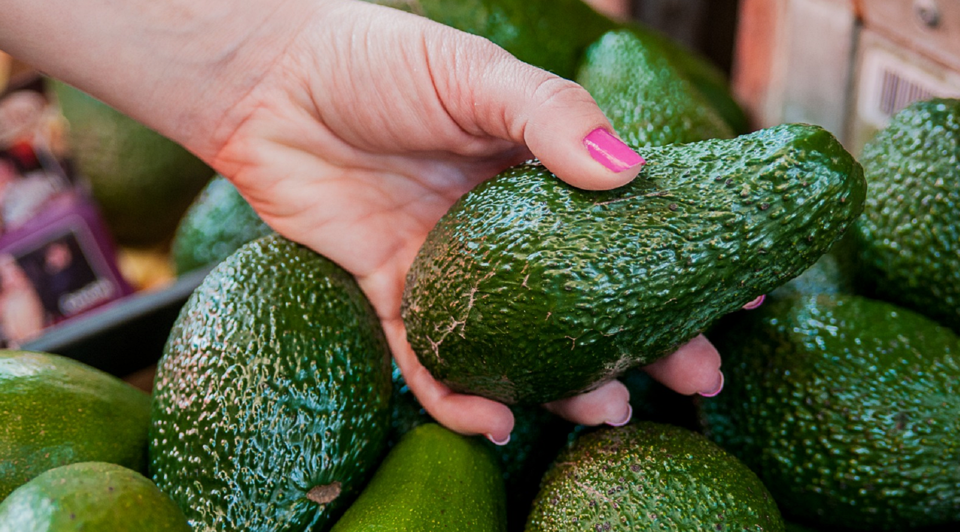 Guerra comercial de Trump afectaría exportaciones del nuevo producto estrella del agro: el aguacate hass