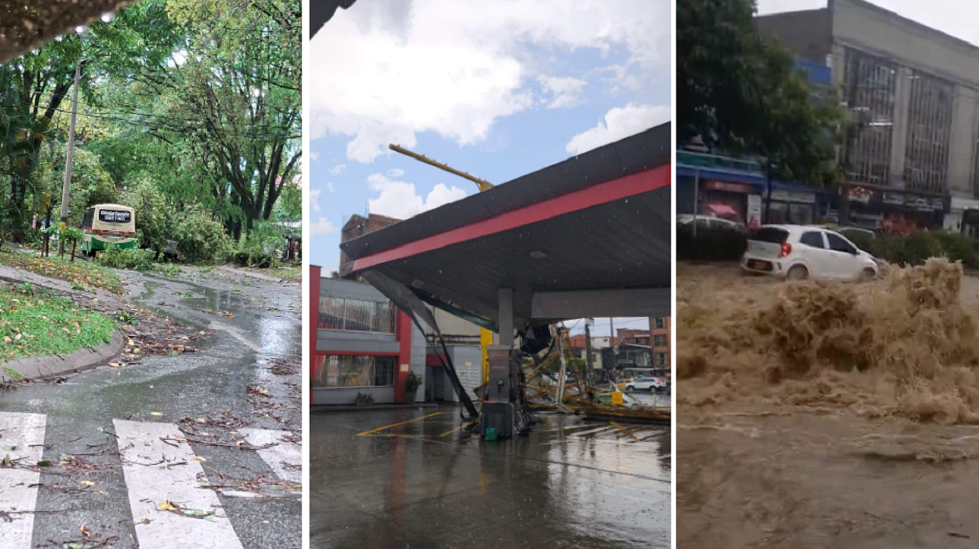 VIDEO | Lluvias de este jueves causaron estragos en Medellín: árboles caídos, inundaciones y caos vehicular
