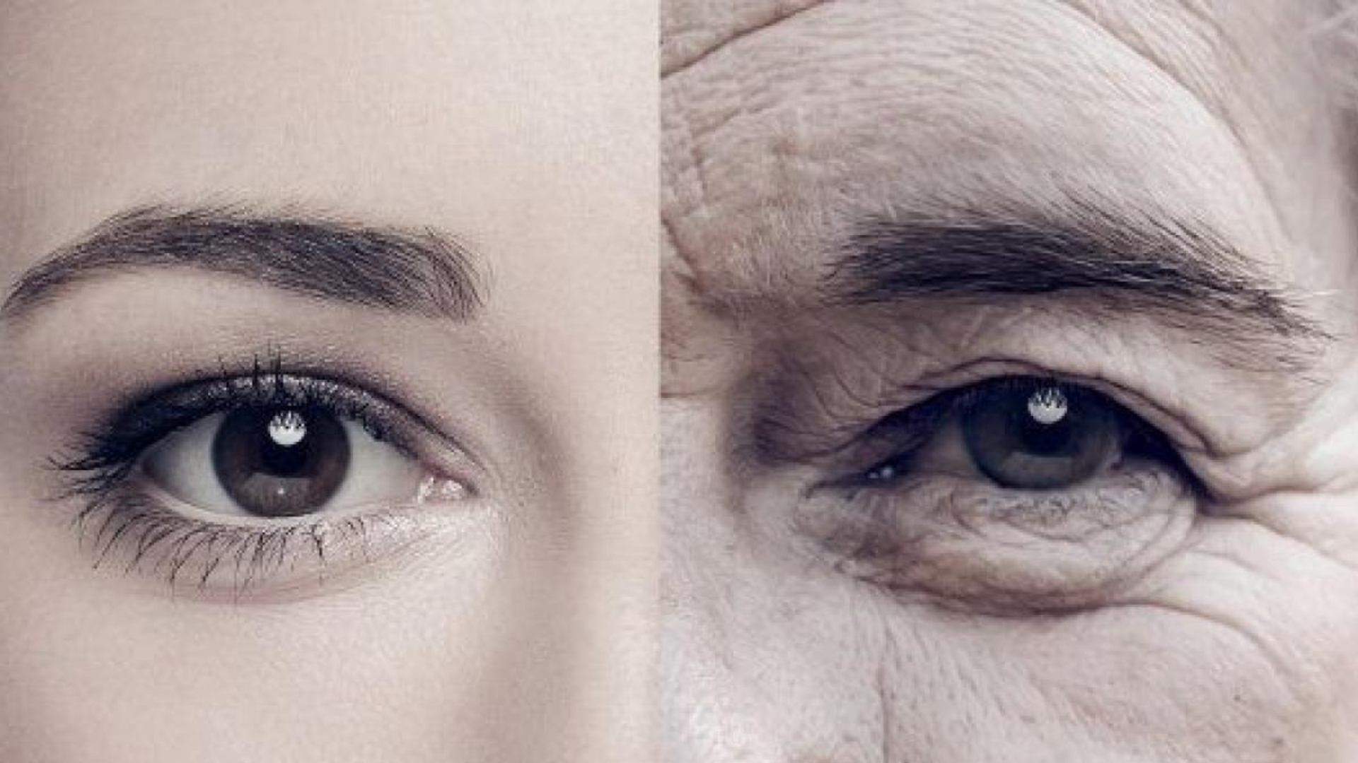 Foto: comedera.com