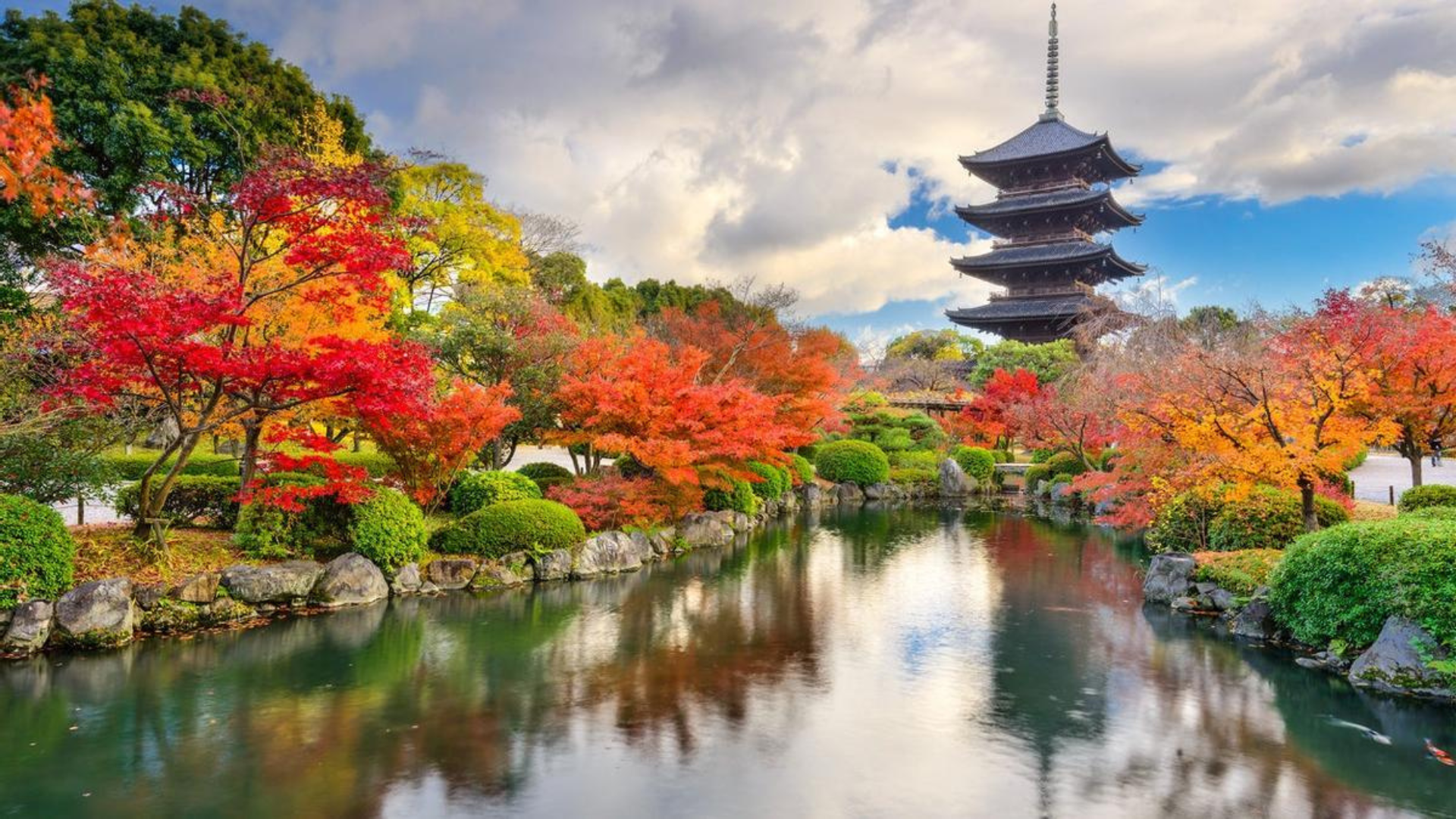 Kioto, Japón Con más de 7,1 millones de búsquedas anuales, Kioto es el corazón espiritual de Japón. Su legado budista, con más de 2.000 templos y santuarios, lo convierte en un lugar perfecto para la contemplación y la meditación. Monte Saint-Michel, Francia Este monasterio medieval, rodeado por las aguas de la bahía de Normandía, es un destino de peregrinación desde hace siglos. Su ubicación, que lo aísla con la marea alta, añade un aura mística al lugar. Rishikesh, India Conocida como la capital mundial del yoga, Rishikesh atrae a viajeros en busca de renovación espiritual a orillas del sagrado río Ganges. Sus ashrams y centros de meditación han sido refugio de buscadores de paz por generaciones. Ciudad del Vaticano, Italia Sede de la Iglesia Católica y hogar de la Basílica de San Pedro, el Vaticano es un destino obligado para los peregrinos. Además de su significado religioso, alberga invaluables tesoros artísticos y arquitectónicos. Montserrat, España Esta imponente montaña ha sido lugar de devoción durante siglos. Su monasterio y la imagen de la Virgen de Montserrat atraen a creyentes y turistas que buscan inspiración en su energía espiritual. 