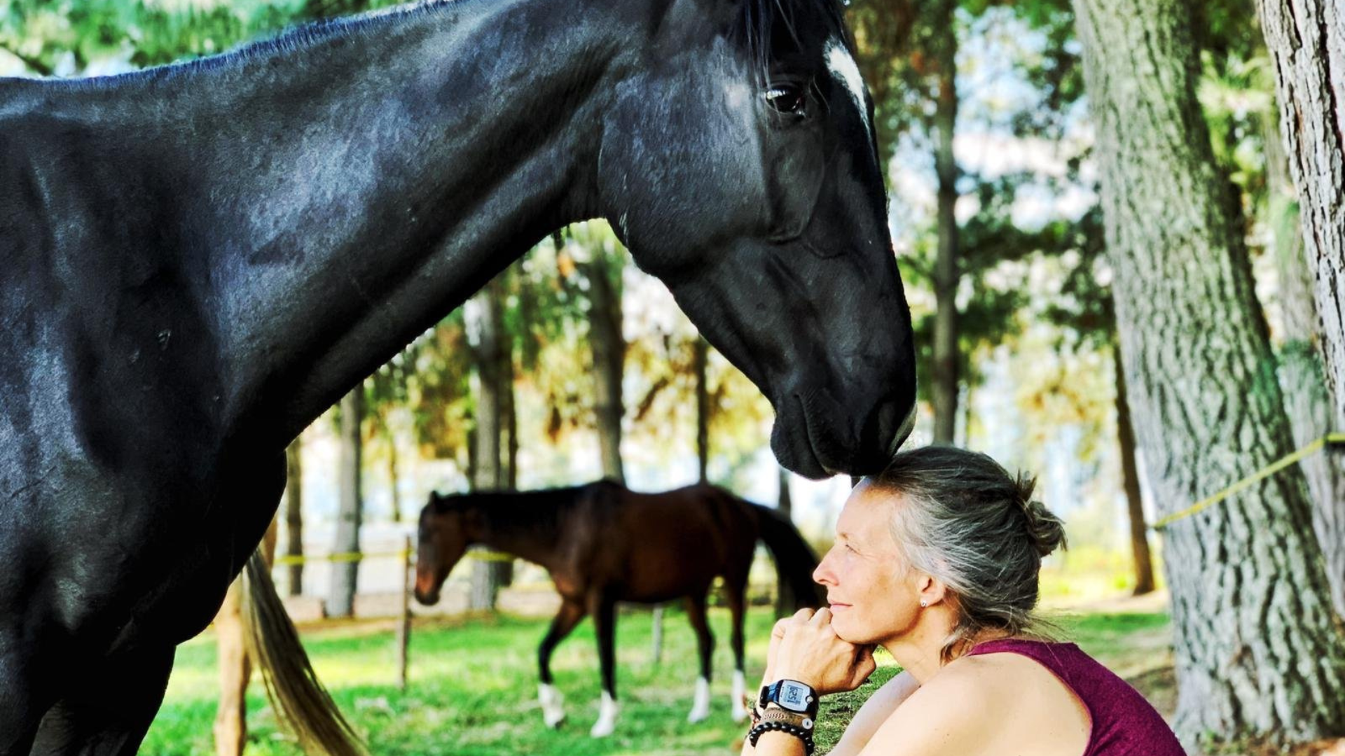 ¿Te dejarías curar por un caballo? Así funciona el poder sanador de la terapia equina