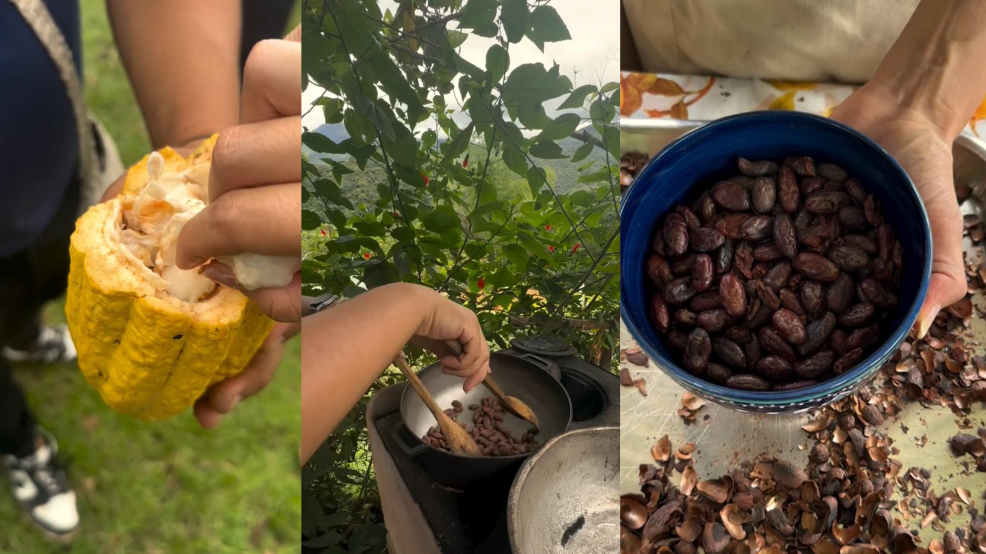 Tour del cacao en San Rafael: una experiencia a solo dos horas de Medellín