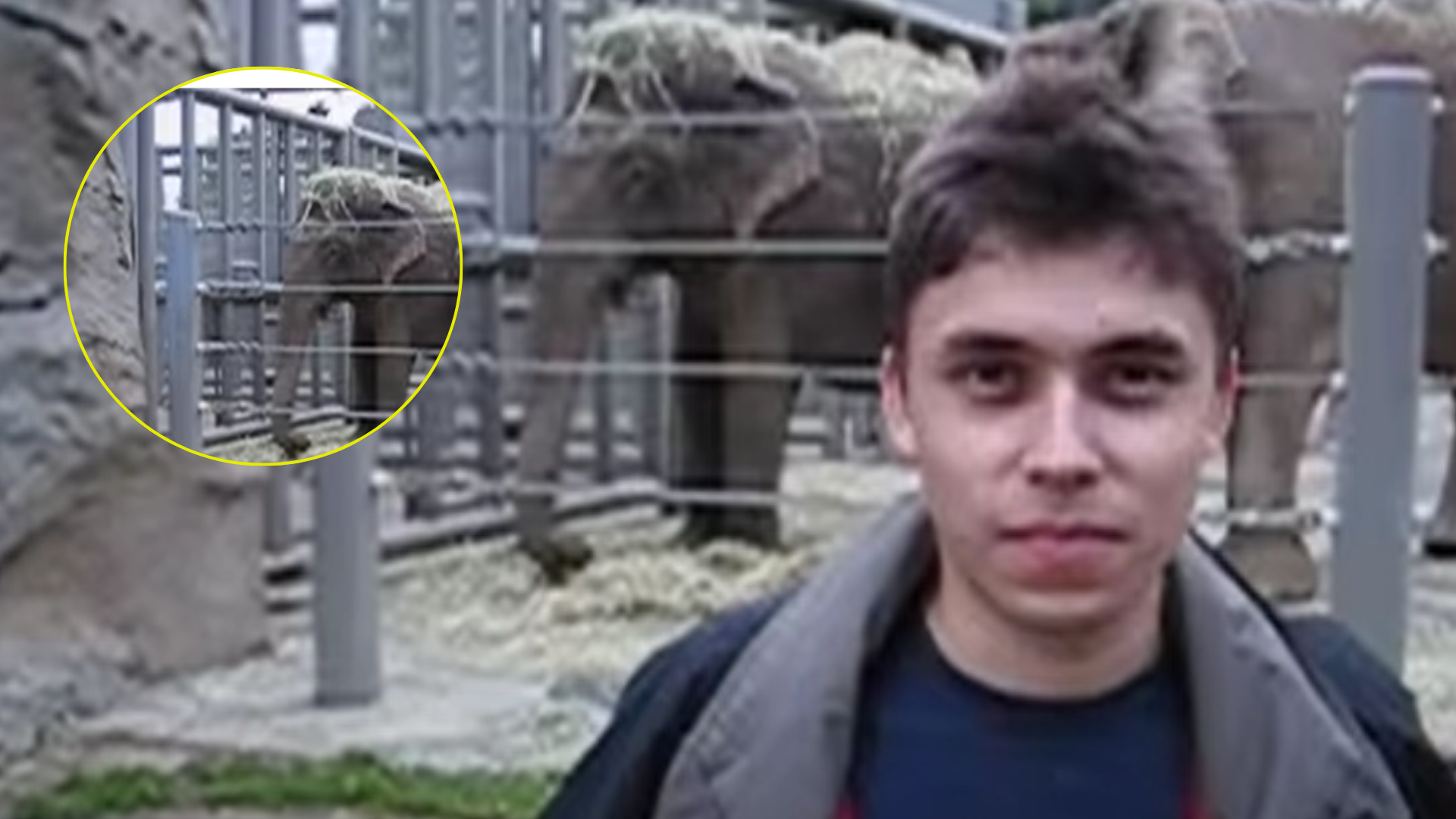 Se cumplen 20 años del primer video en YouTube: cuál fue, quién lo subió y cuál es el más visto hoy