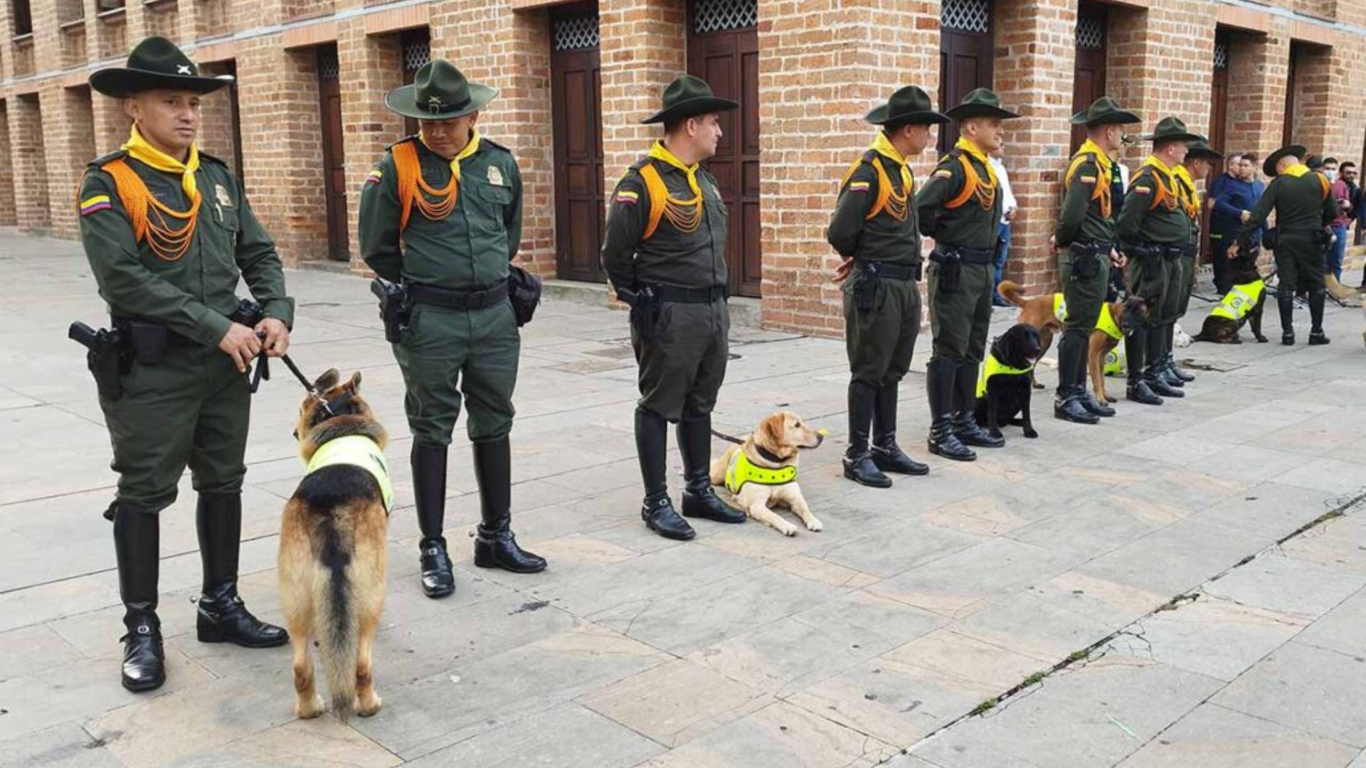 Tras años de servicio, estos perros de la Policía ya se jubilaron