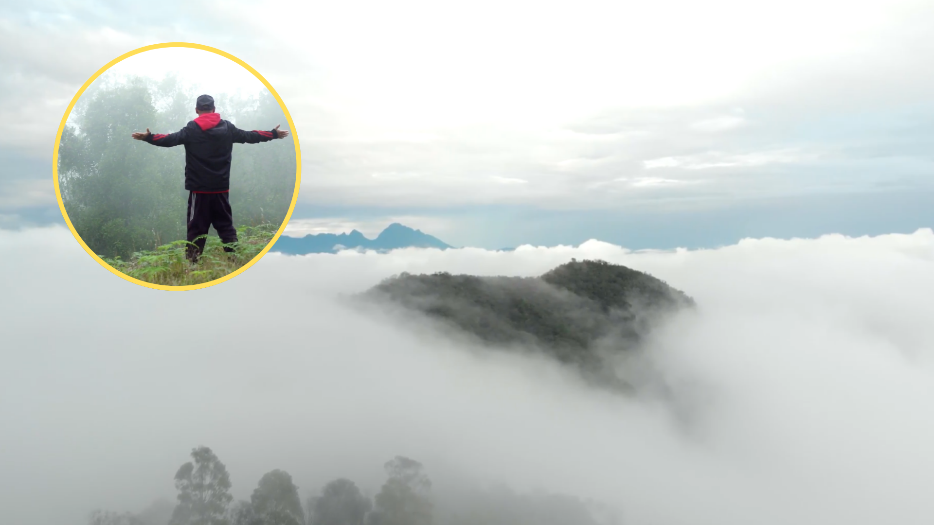 En las cordilleras de Antioquia, existe un bosque donde se camina entre las nubes