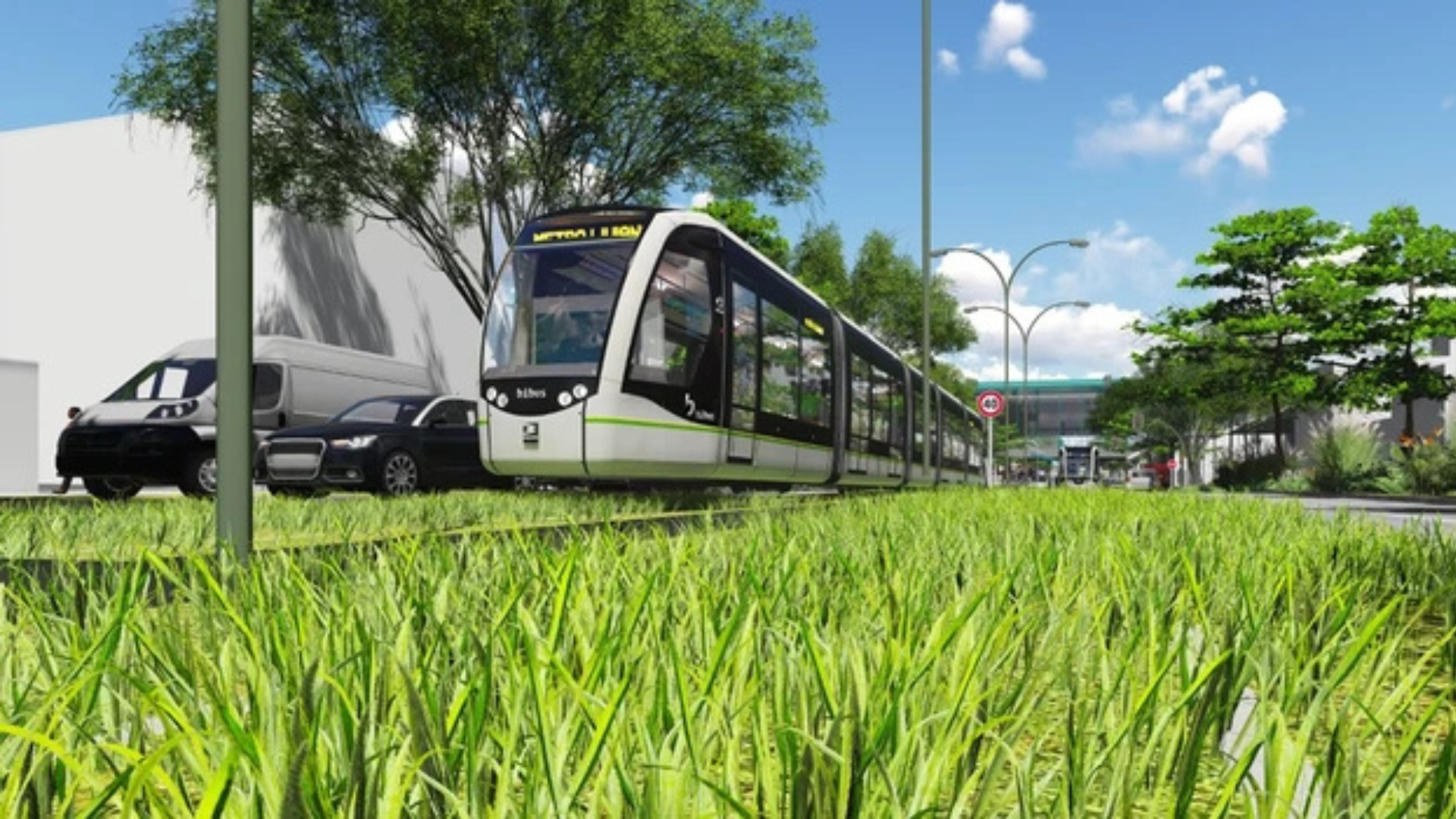 Gracias a un convenio con la UdeA, el Metro de Medellín ha logrado rescatar y rehabilitar animales silvestres que habitan cerca del proyecto Metro de la 80.