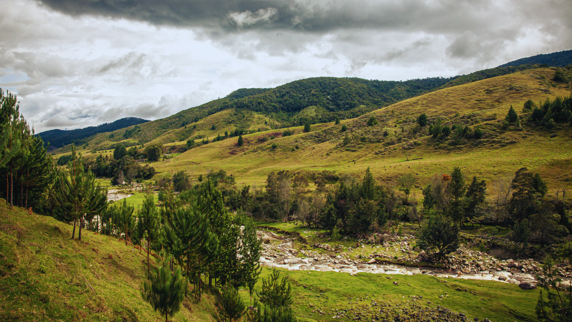 Un rincón natural de Antioquia, ideal para el ecoturismo, donde el queso dulce y la aventura son protagonistas.