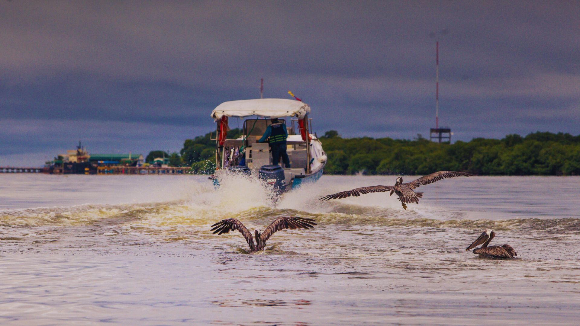 Descubre Turbo, el municipio más grande de Antioquia, famoso por sus playas caribeñas, su historia vibrante y su riqueza natural.