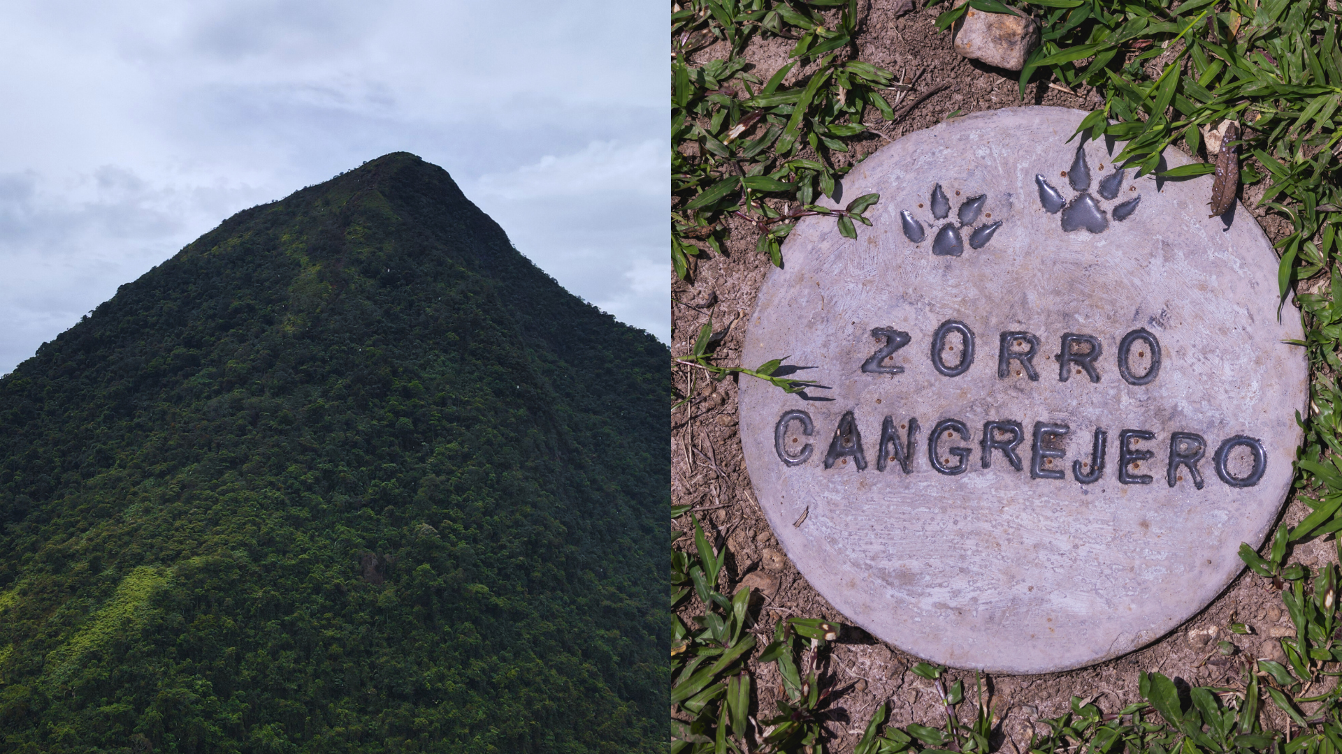 A dos horas de Medellín abre el Parque Cerro Tusa: un tesoro natural que combina historia, biodiversidad y turismo responsable en el Suroeste.