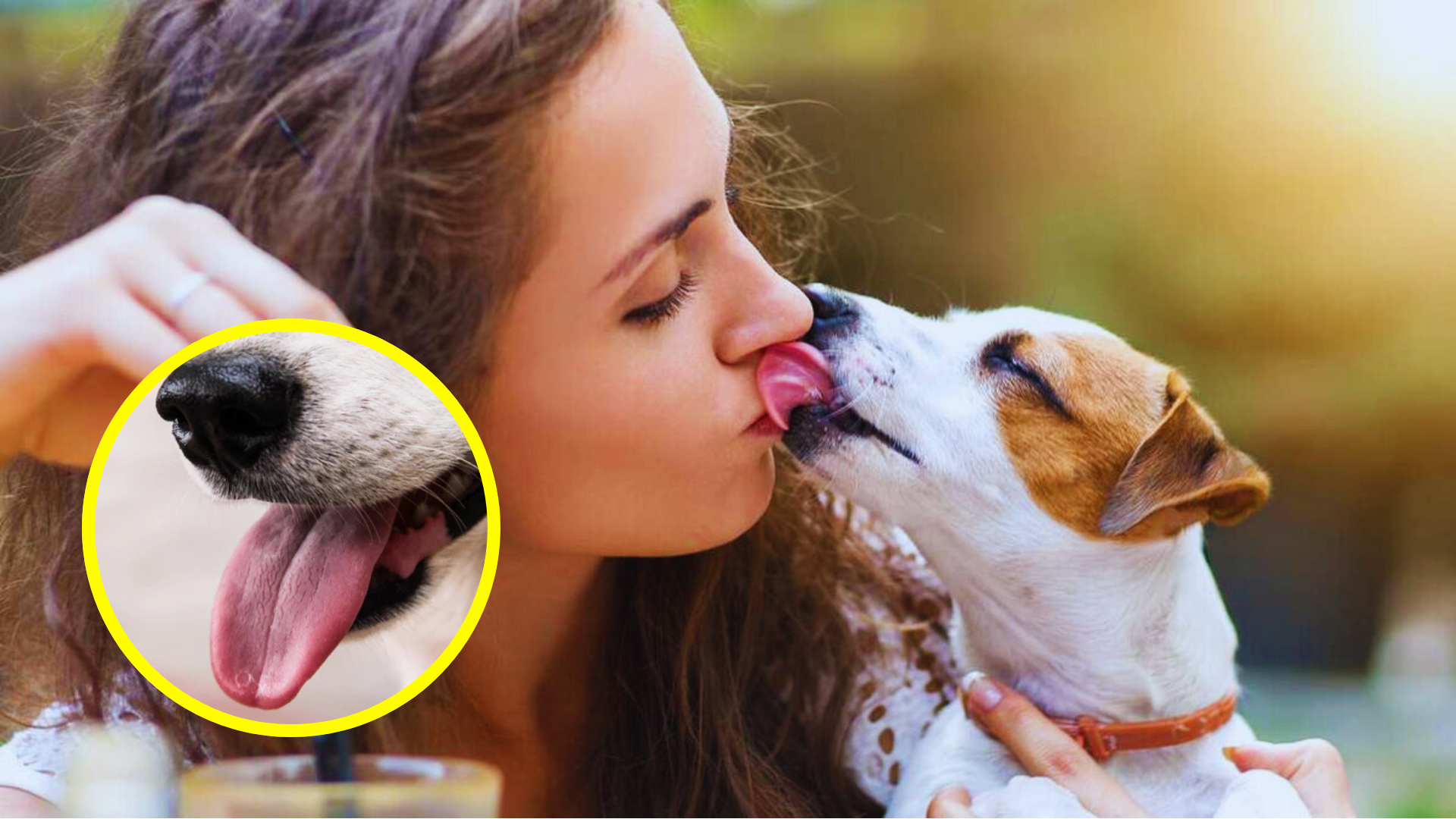 Besar a tu perro en la boca puede parecer inofensivo, pero existen riesgos de salud importantes que debes conocer.