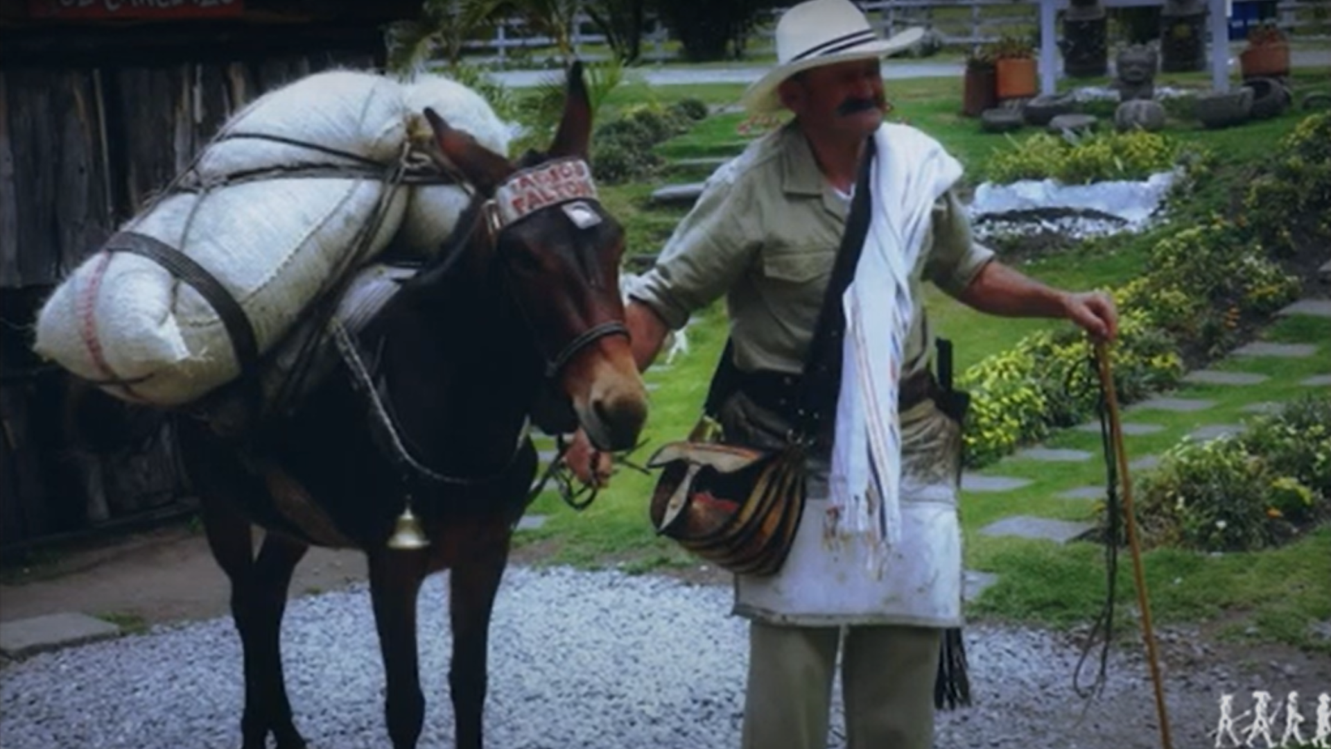 de esta región de antioquia nació el paisa de carriel