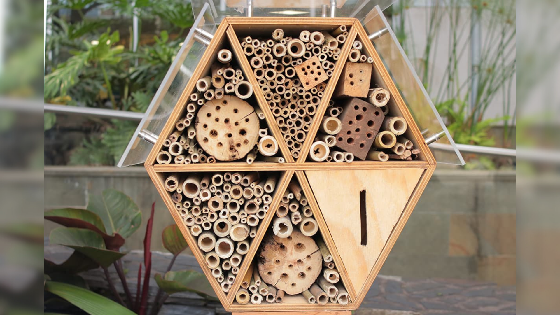 abejas, refugios, polinización, biodiversidad, Medellín, medio ambiente, apicultura, abejas solitarias, ecosistema, sostenibilidad