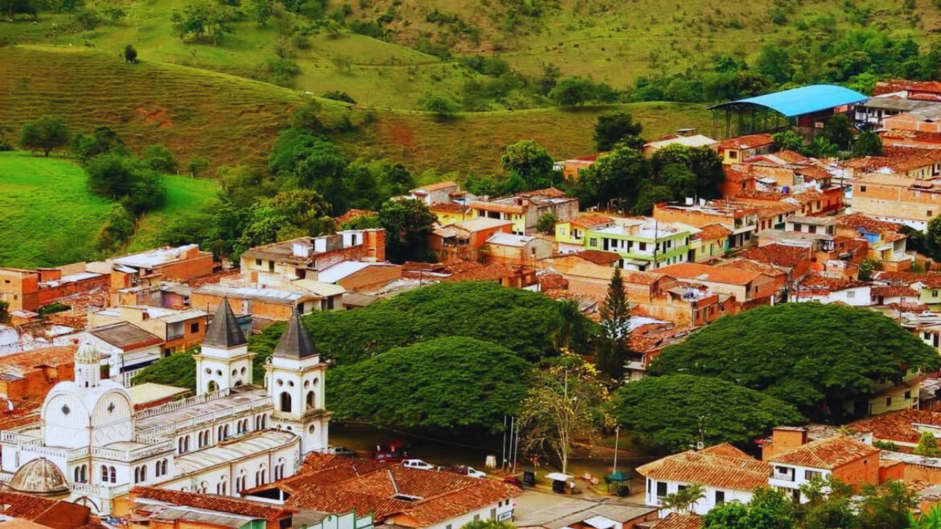 En el corazón de un pueblo del suroeste antioqueño, unos samanes centenarios se han convertido en símbolo, sombra y orgullo local.