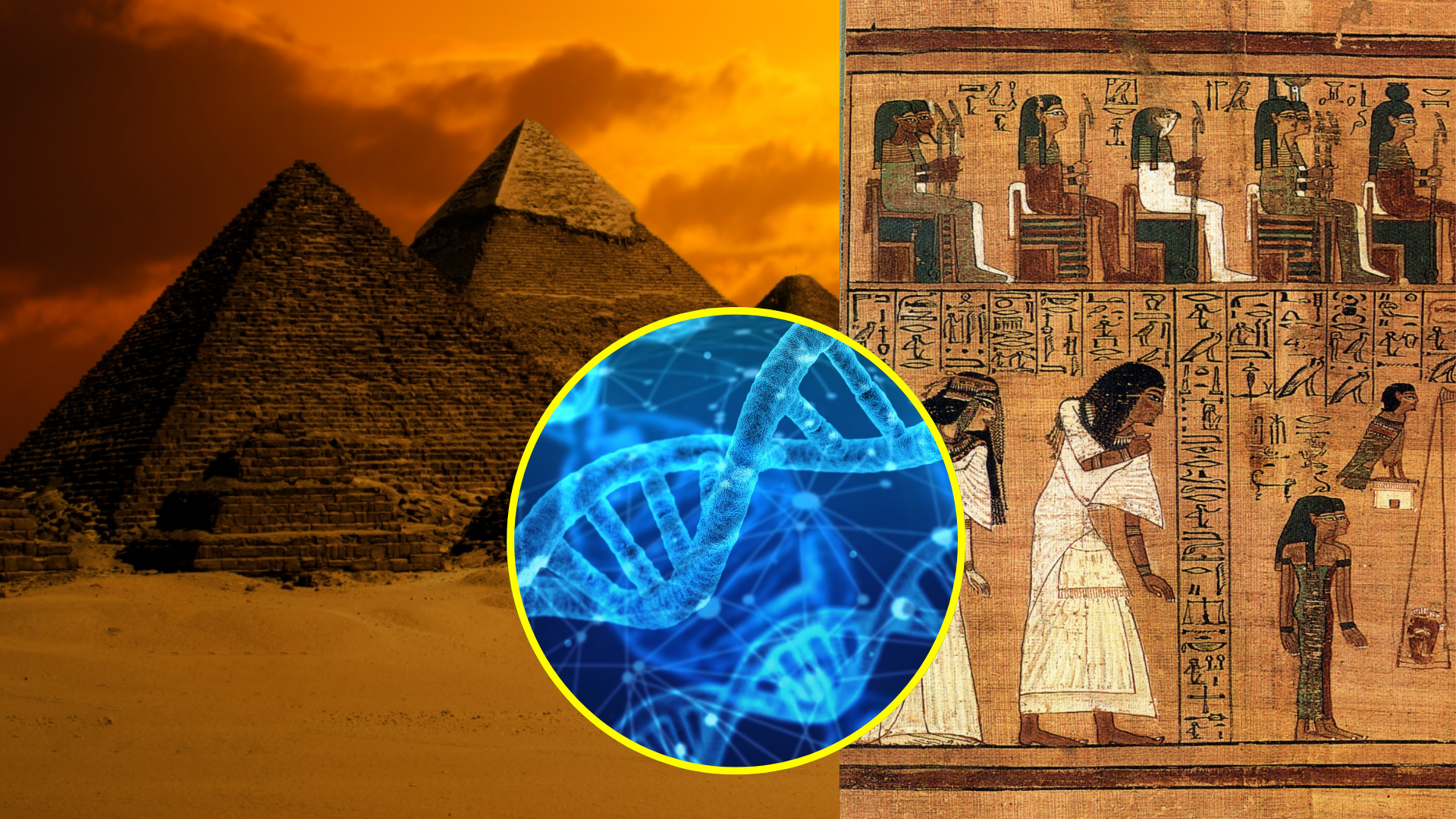 Secuencian por primera vez el ADN completo de un egipcio de hace 4.500  años: este es el mapa genético que revela su origen