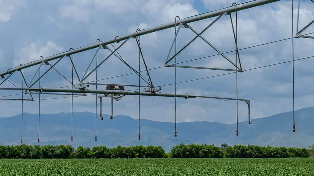 Los cultivos nacionales enfrentan desafíos para competir con la importación de granos en Colombia, un factor clave en la seguridad y soberanía alimentaria del país.
