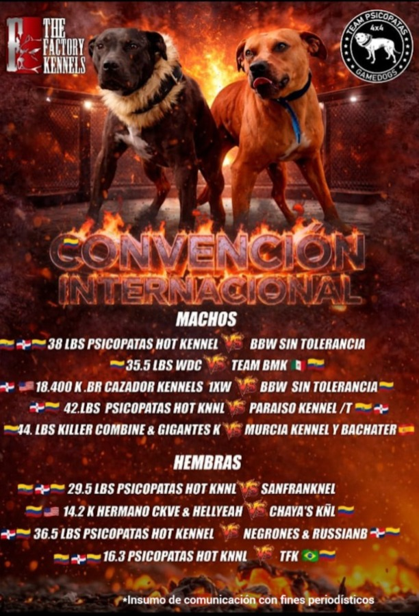 Cuatro de los perros rescatados, según la Fiscalía, se