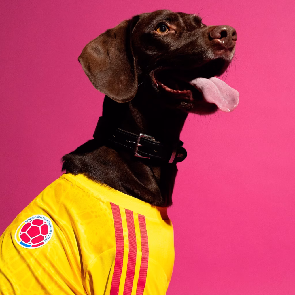 Así se ve la camiseta de Colombia para mascotas. Tomado de Adidas.